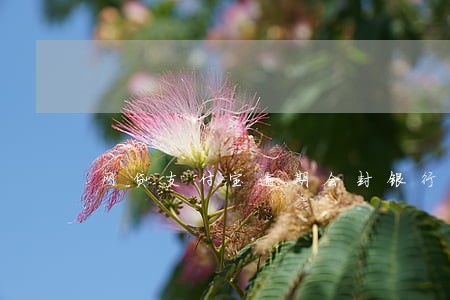 网贷支付宝逾期会封银行卡吗