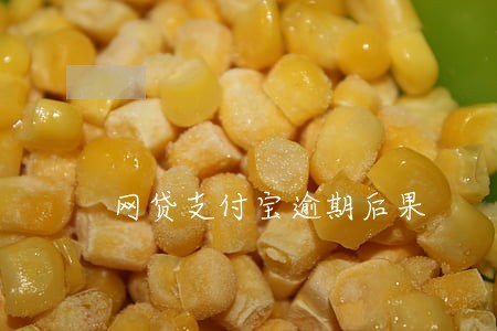 网贷支付宝逾期后果