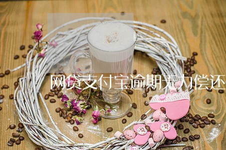 网贷支付宝逾期无力偿还 网贷支付宝逾期无力偿还