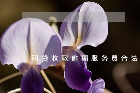 网贷收取逾期服务费合法么 网贷收取逾期服务费合法么
