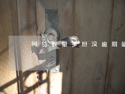 网贷数量多但没逾期能贷款买房吗