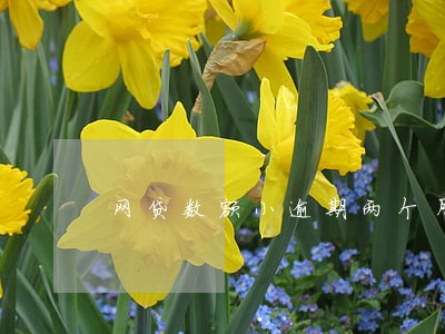 网贷数额小逾期两个月会影响吗 网贷数额小逾期两个月会影响吗