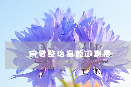 网贷整治高额逾期费 网贷整治高额逾期费