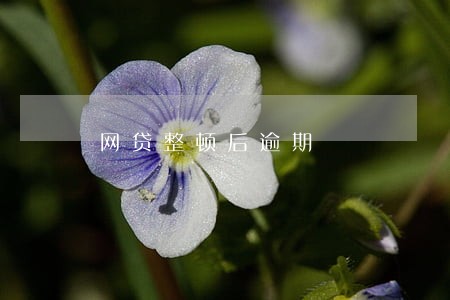 网贷整顿后逾期 网贷整顿后逾期
