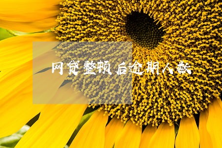 网贷整顿后逾期人数 网贷整顿后逾期人数