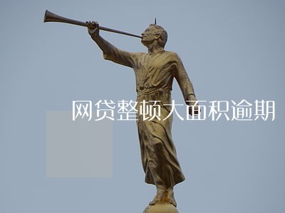 网贷整顿大面积逾期 网贷整顿大面积逾期