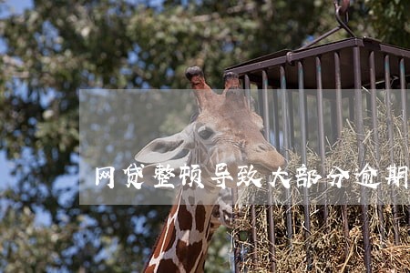 网贷整顿导致大部分逾期 网贷整顿导致大部分逾期