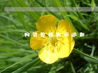 网贷整顿期间逾期 网贷整顿期间逾期