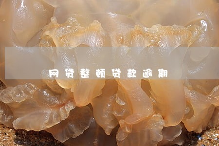 网贷整顿贷款逾期 网贷整顿贷款逾期