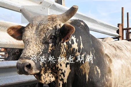 网贷整顿逾期潮 网贷整顿逾期潮