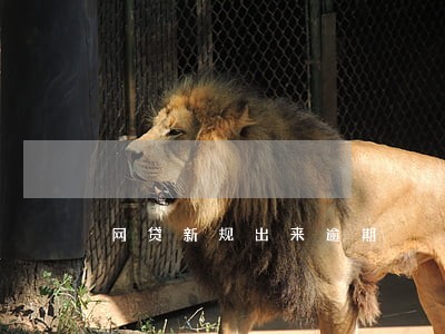 网贷新规出来逾期 网贷新规出来逾期