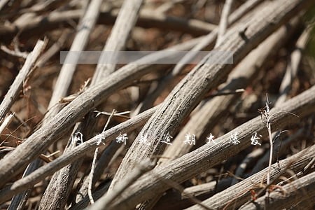 网贷新规逾期大爆发 网贷新规逾期大爆发