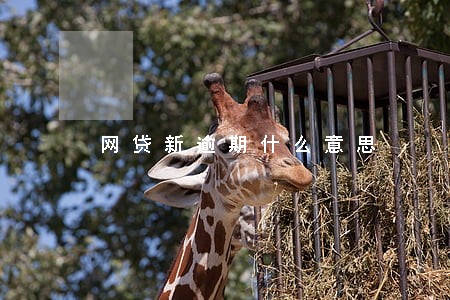 网贷新逾期什么意思