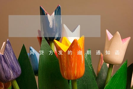 网贷方发的逾期通知函 网贷方发的逾期通知函