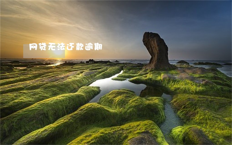 网贷无法还款逾期 网贷无法还款逾期