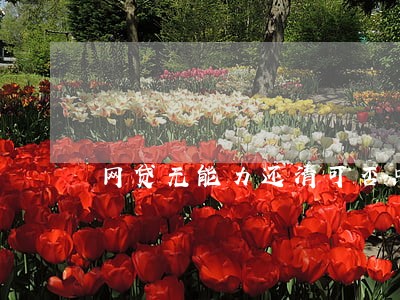 网贷无能力还清可否只归还本金 网贷无能力还清可否只归还本金