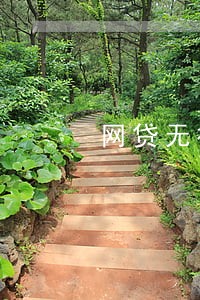 网贷无视黑白逾期口子 网贷无视黑白逾期口子