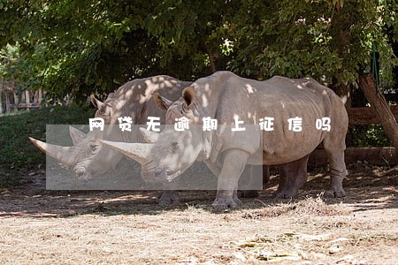网贷无逾期上征信吗 网贷无逾期上征信吗