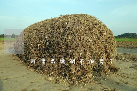 网贷无逾期不给贷了 网贷无逾期不给贷了