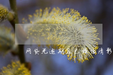 网贷无逾期且已经结清影响房贷吗 网贷无逾期且已经结清影响房贷吗