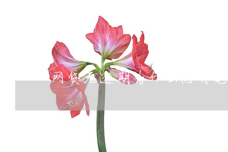 网贷无逾期为什么总有电话 网贷无逾期为什么总有电话