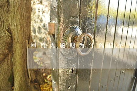 网贷无逾期为什么贷不了 网贷无逾期为什么贷不了