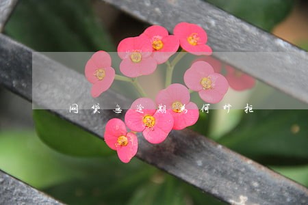 网贷无逾期为何秒拒 网贷无逾期为何秒拒
