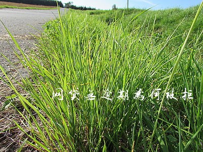 网贷无逾期为何被拒 网贷无逾期为何被拒