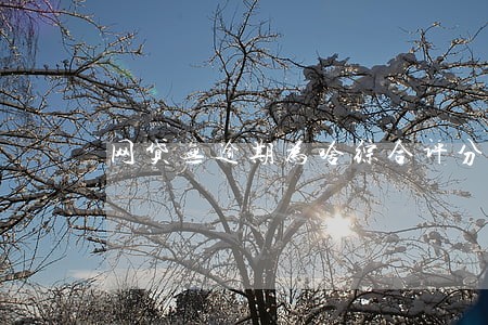 网贷无逾期为啥综合评分不足 网贷无逾期为啥综合评分不足
