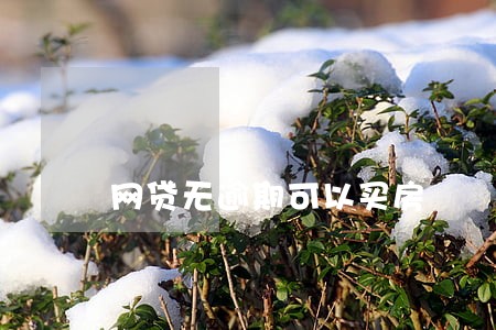 网贷无逾期可以买房 网贷无逾期可以买房