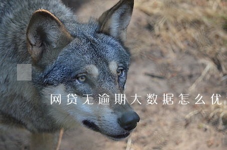 网贷无逾期大数据怎么优化 网贷无逾期大数据怎么优化