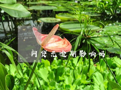 网贷无逾期影响吗 网贷无逾期影响吗
