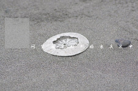 网贷无逾期影响当兵政审吗 网贷无逾期影响当兵政审吗