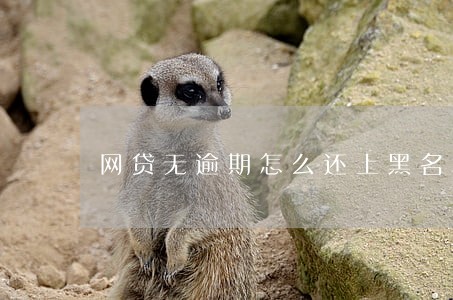 网贷无逾期怎么还上黑名单
