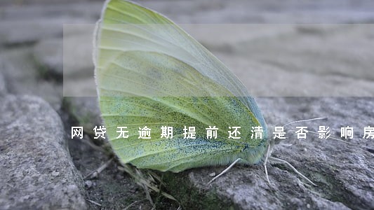 网贷无逾期提前还清是否影响房贷 网贷无逾期提前还清是否影响房贷