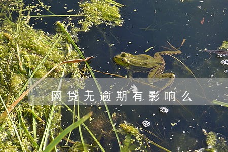 网贷无逾期有影响么 网贷无逾期有影响么