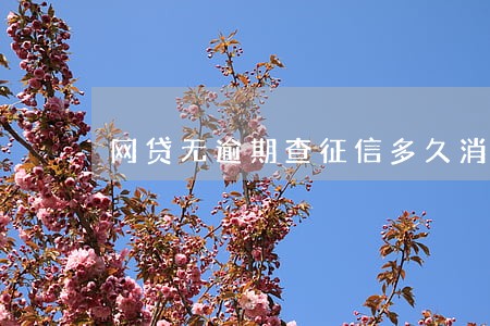 网贷无逾期查征信多久消除 网贷无逾期查征信多久消除