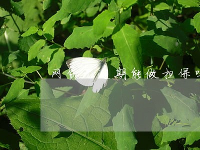 网贷无逾期能做担保吗 网贷无逾期能做担保吗