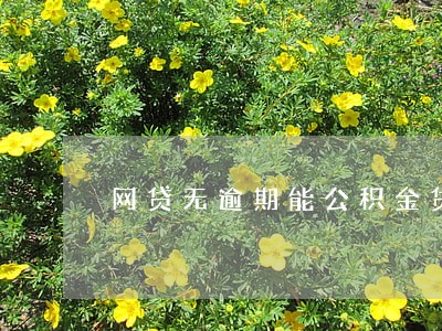 网贷无逾期能公积金贷款吗 网贷无逾期能公积金贷款吗