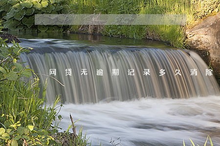 网贷无逾期记录多久消除 网贷无逾期记录多久消除