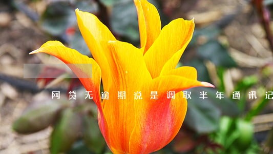 网贷无逾期说是调取半年通讯记录 网贷无逾期说是调取半年通讯记录