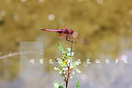 网贷无逾期还完征信多久恢复 网贷无逾期还完征信多久恢复