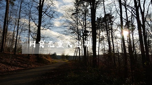 网贷无重大逾期 网贷无重大逾期