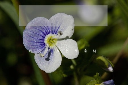 网贷明天全面逾期 网贷明天全面逾期