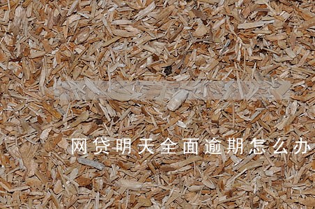 网贷明天全面逾期怎么办 网贷明天全面逾期怎么办
