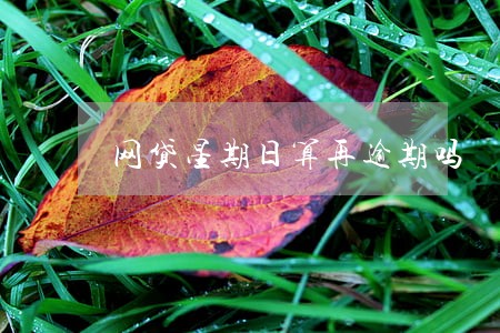 网贷星期日算再逾期吗