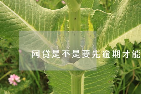 网贷是不是要先逾期才能协商 网贷是不是要先逾期才能协商