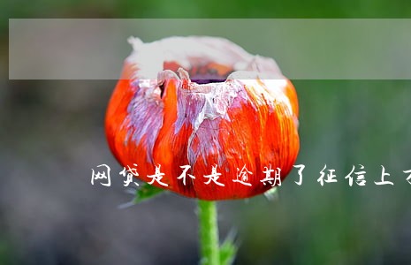 网贷是不是逾期了征信上才显示 网贷是不是逾期了征信上才显示