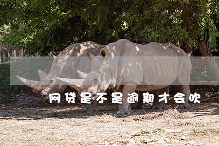 网贷是不是逾期才会吹 网贷是不是逾期才会吹