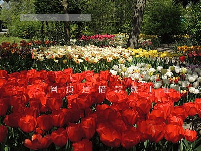 网贷是借款就上征信还是逾期 网贷是借款就上征信还是逾期
